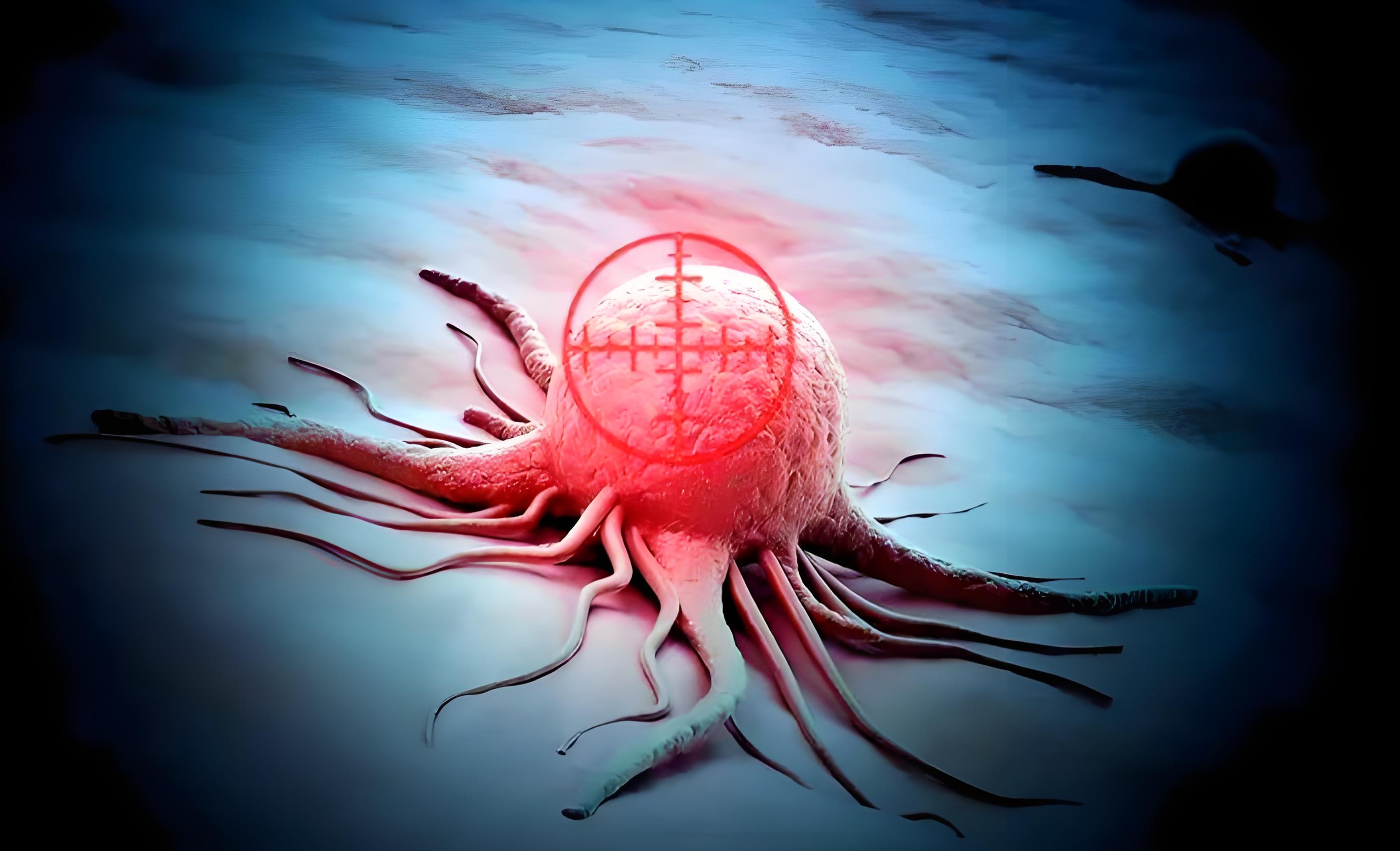 美国进口系列精准识别靶向药物疗法