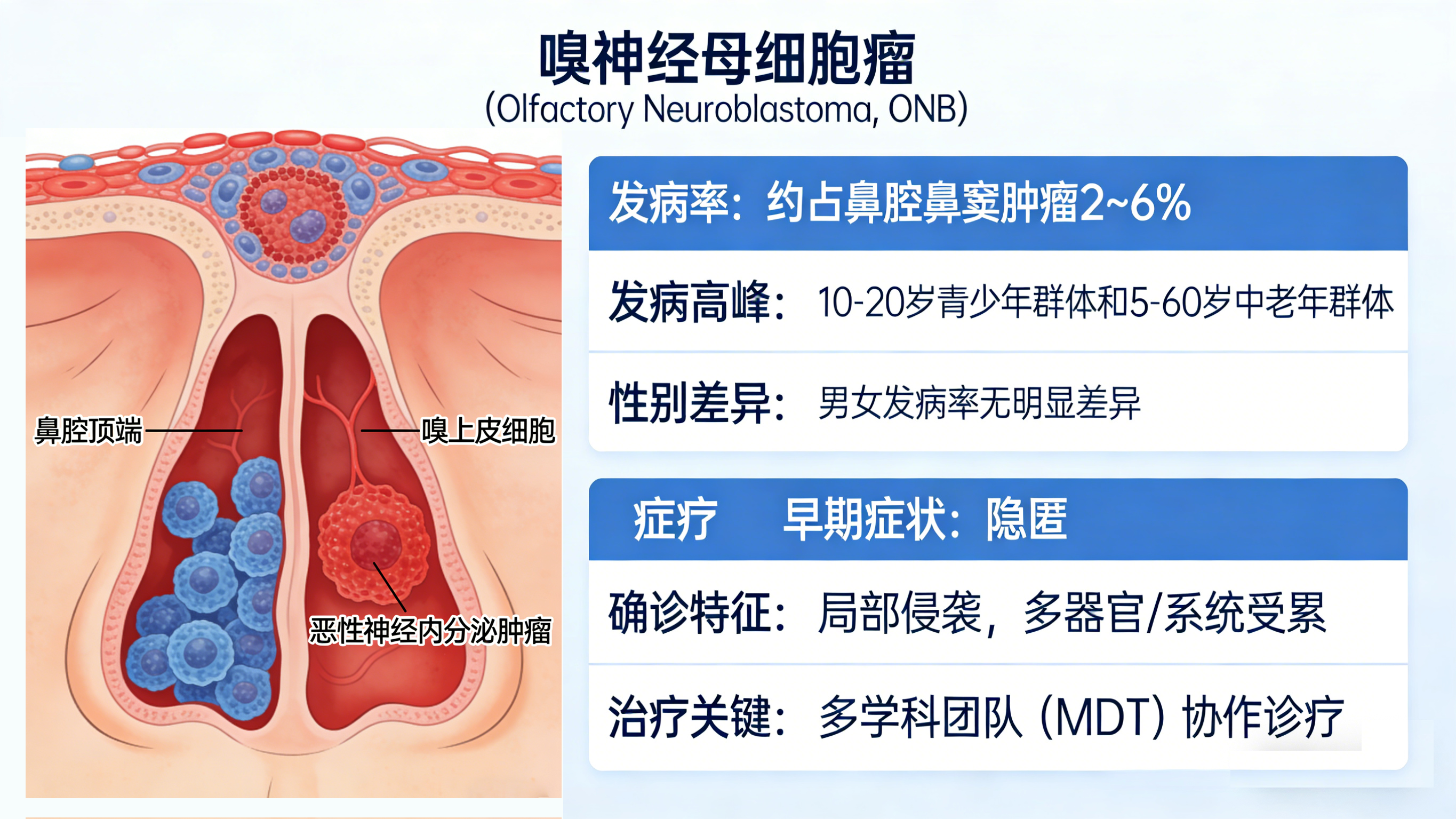 嗅神经母细胞瘤：罕见神经内分泌肿瘤的诊疗与研究进展