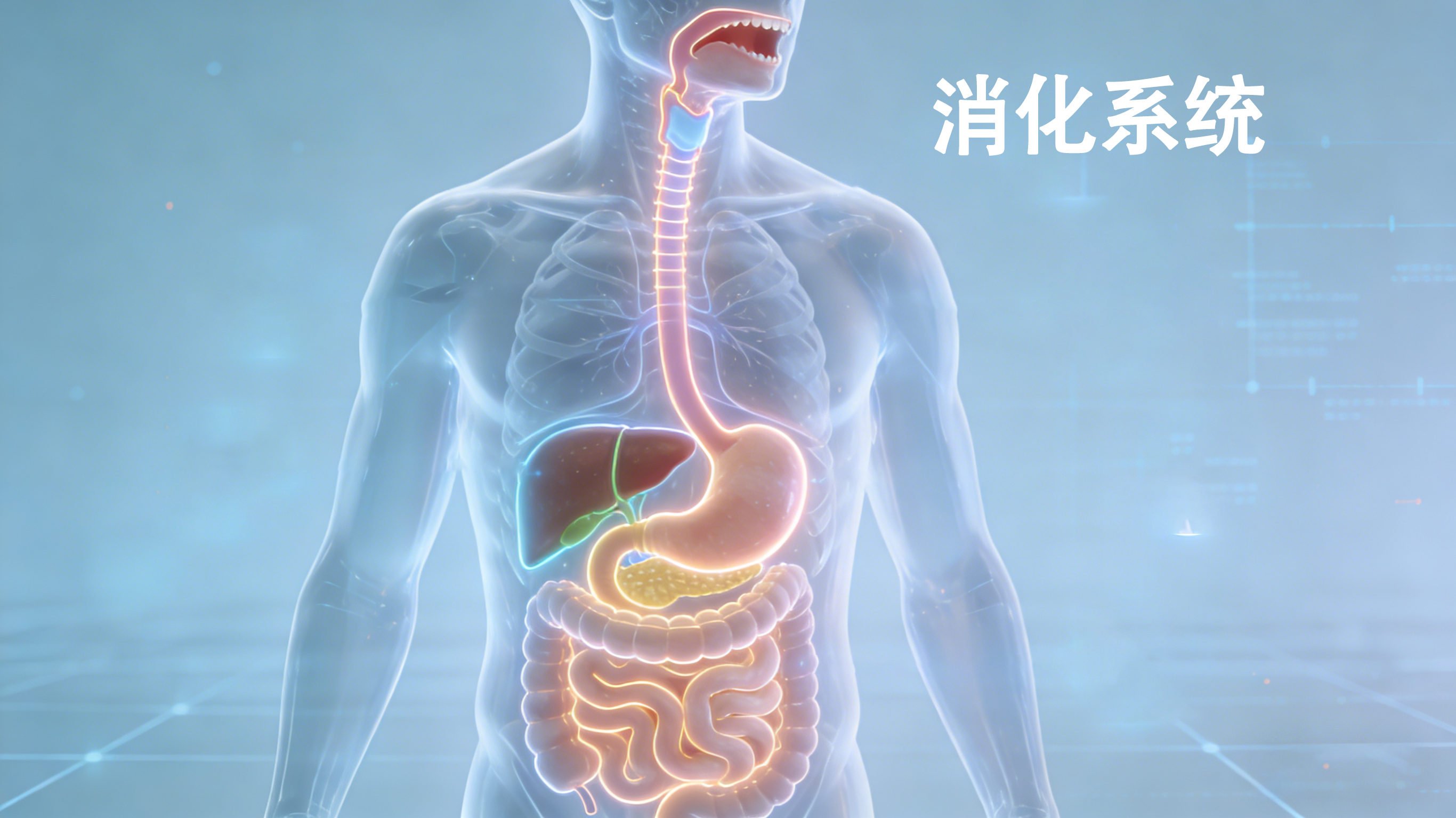 消化系统肿瘤