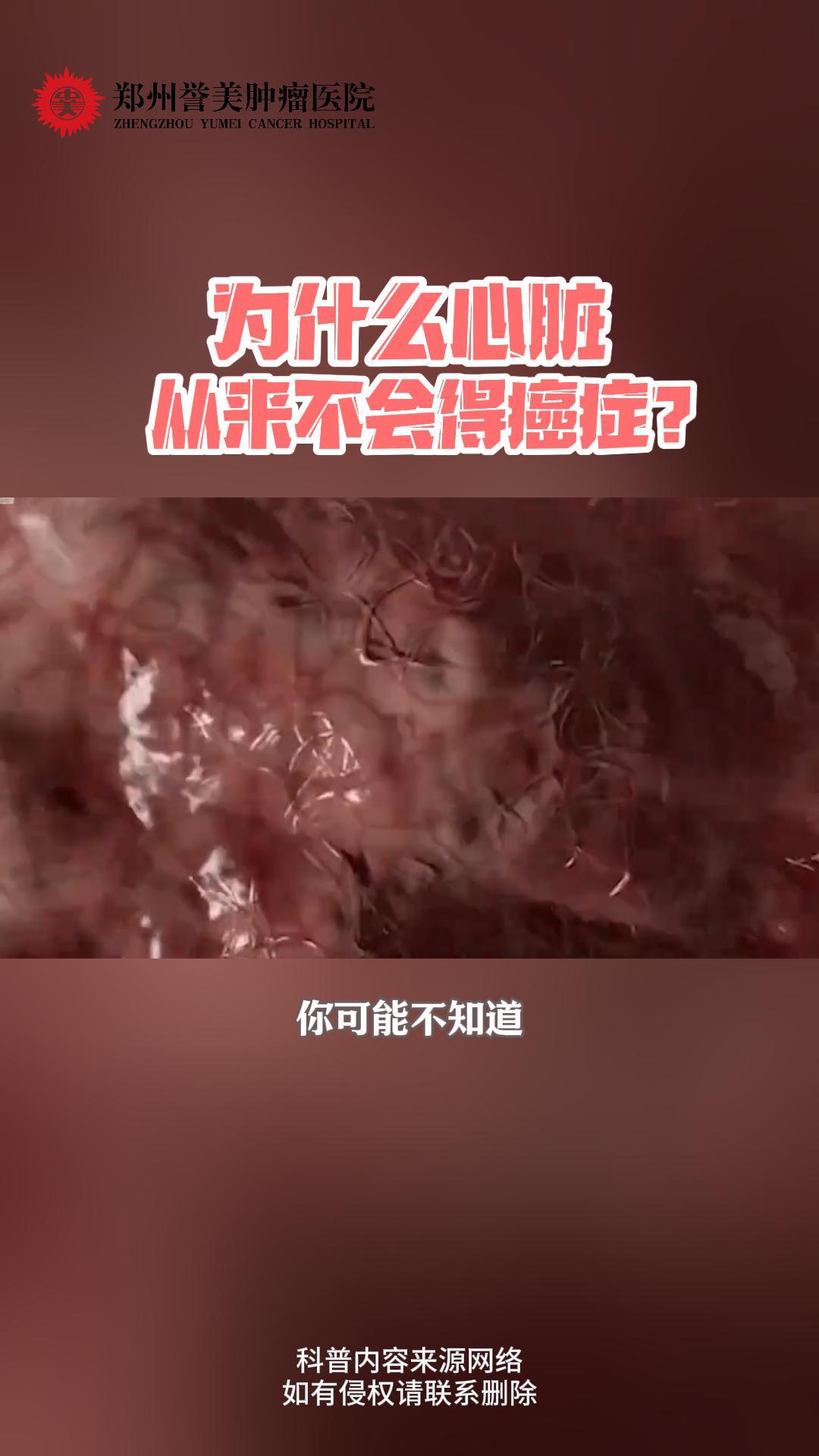 第三十七期 为什么心脏从来不得癌症
