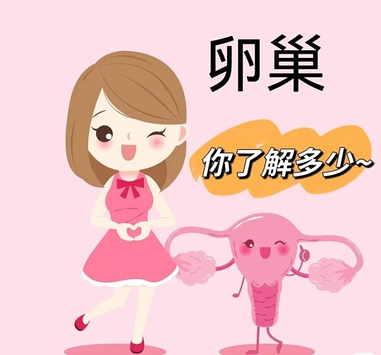 浅谈&ldquo;沉默的杀手&rdquo;&mdash;&mdash;卵巢肿瘤